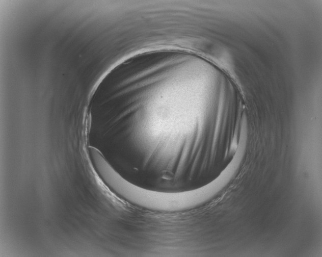 X0000082951524200702152227