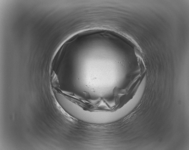 X0000082951532200702152227