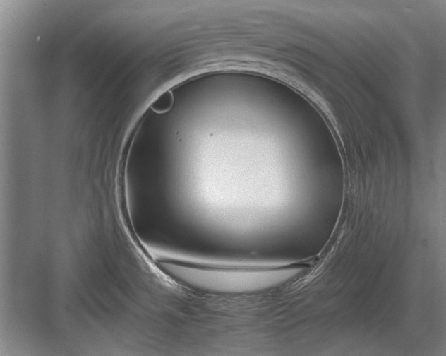 X0000082951533200702152227