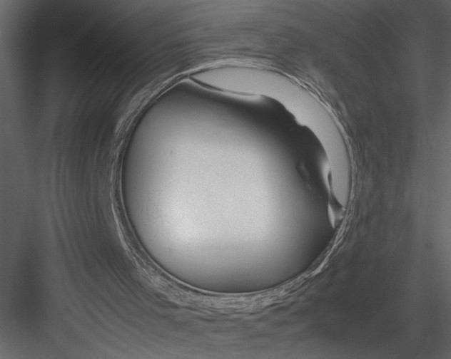 X0000082950001200702222326