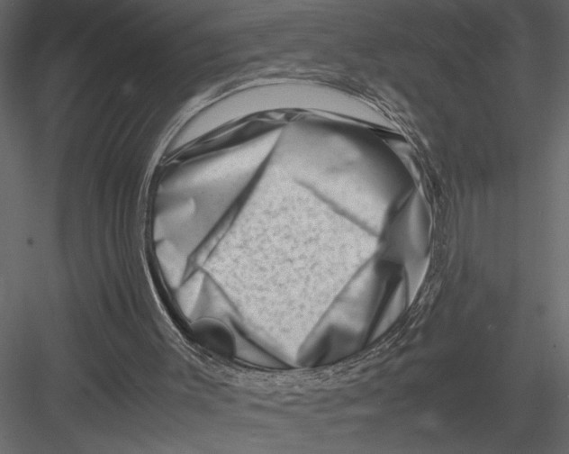 X0000082950003200702222326