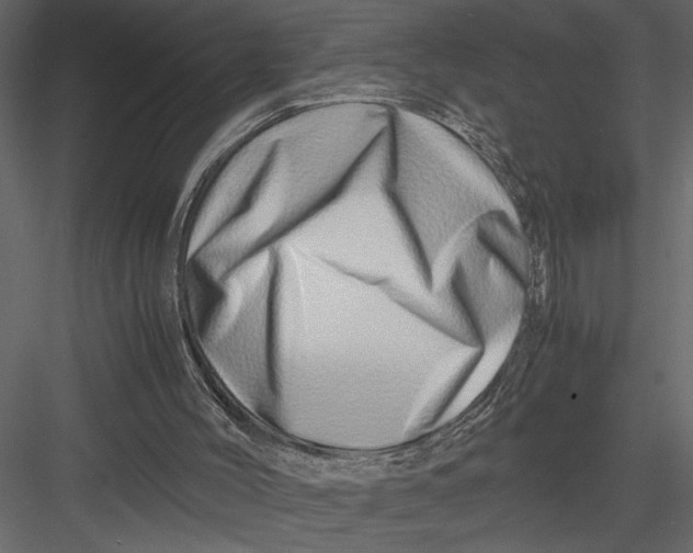 X0000082950004200702222326