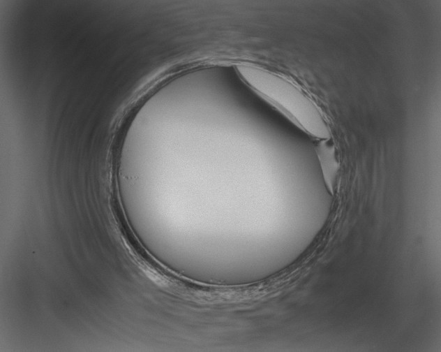 X0000082950005200702222326