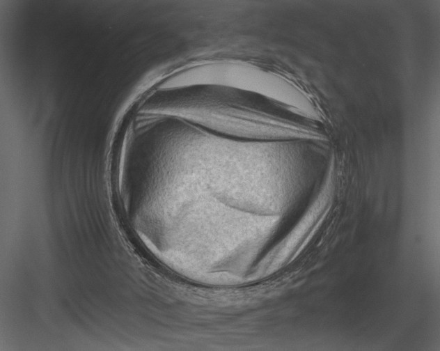 X0000082950006200702222326