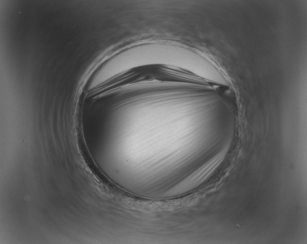 X0000082950007200702222326