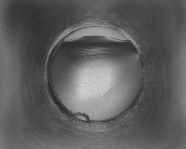 X0000082950008200702222326