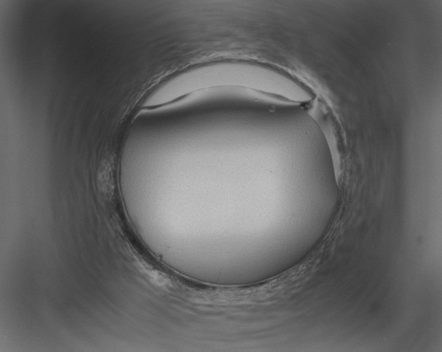 X0000082950009200702222325