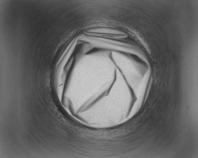 X0000082950010200702222325