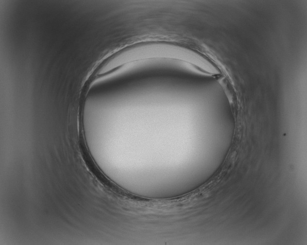 X0000082950011200702222325