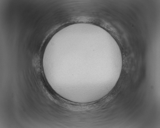 X0000082950012200702222325