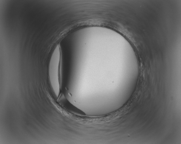 X0000082950013200702222325