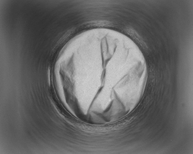 X0000082950014200702222325