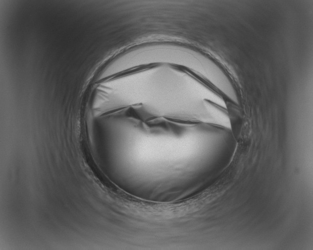 X0000082950015200702222325