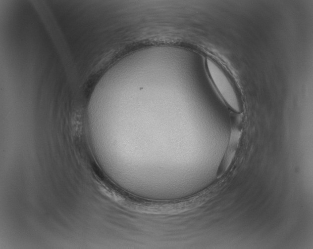 X0000082950017200702222325