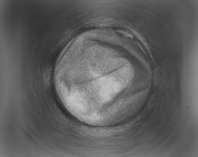 X0000082950018200702222325