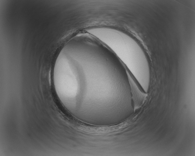 X0000082950019200702222325