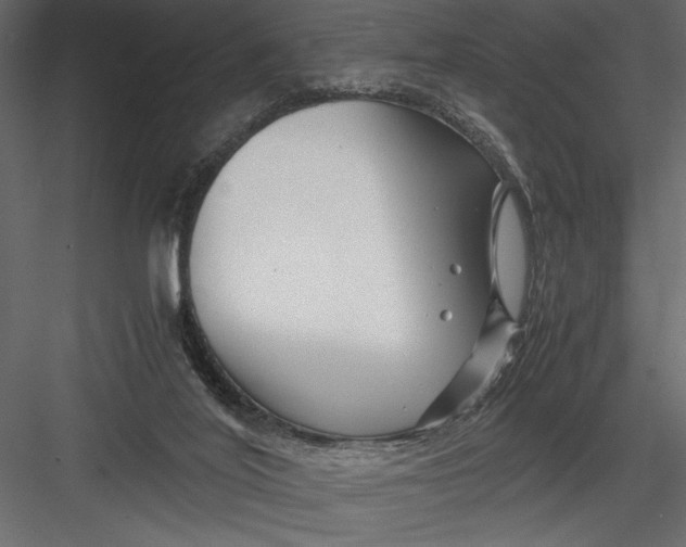 X0000082950020200702222325