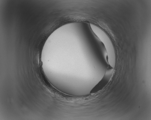 X0000082950021200702222325