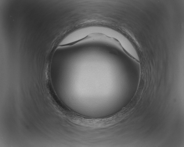 X0000082950023200702222325