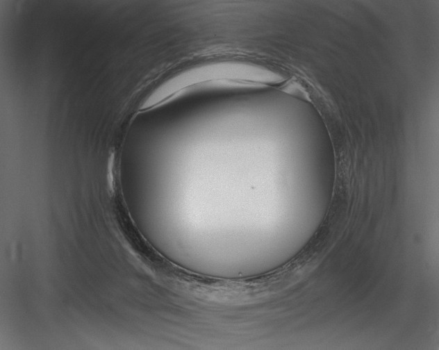 X0000082950024200702222325