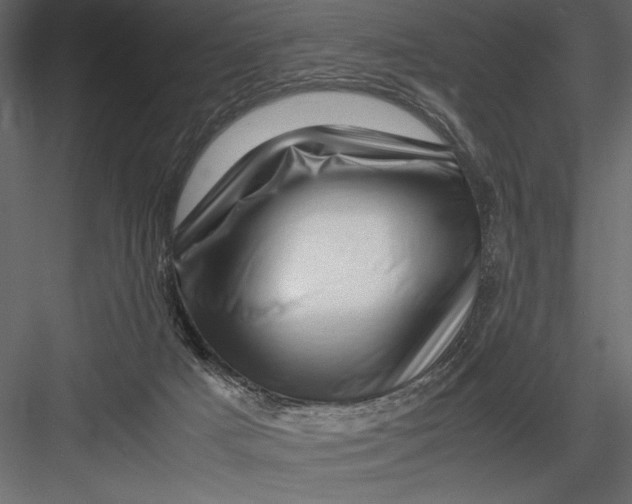 X0000082950025200702222325