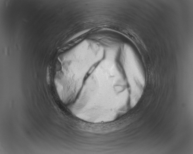 X0000082950026200702222325