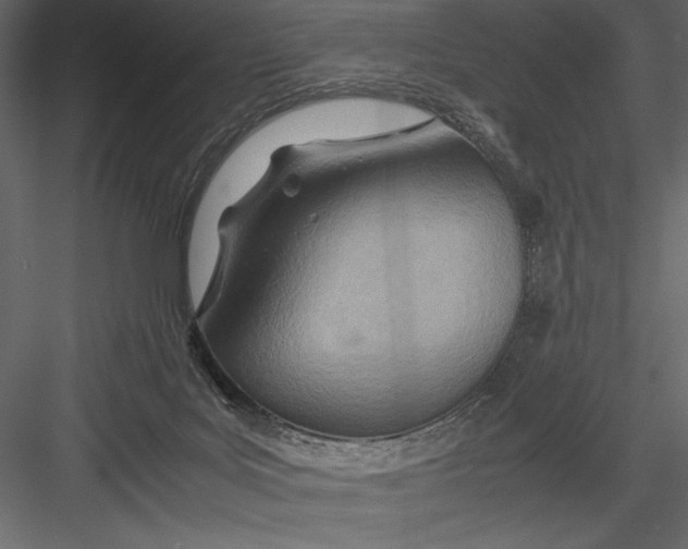 X0000082950027200702222325