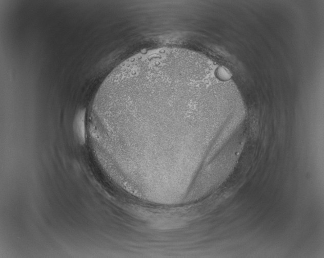 X0000082950028200702222325