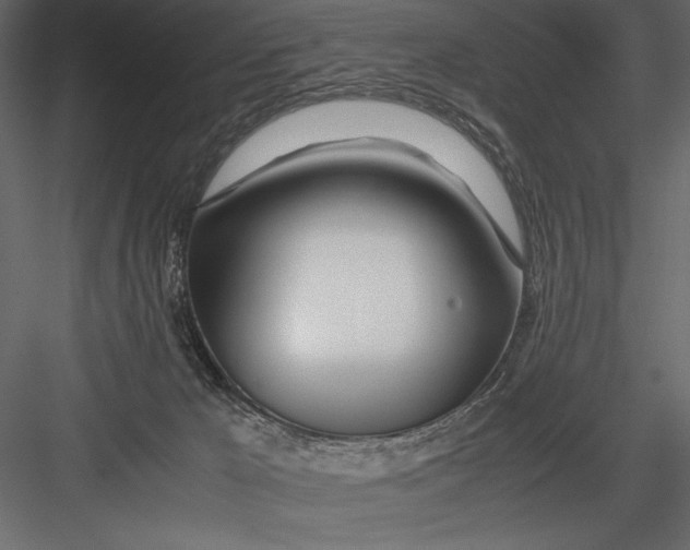 X0000082950029200702222325