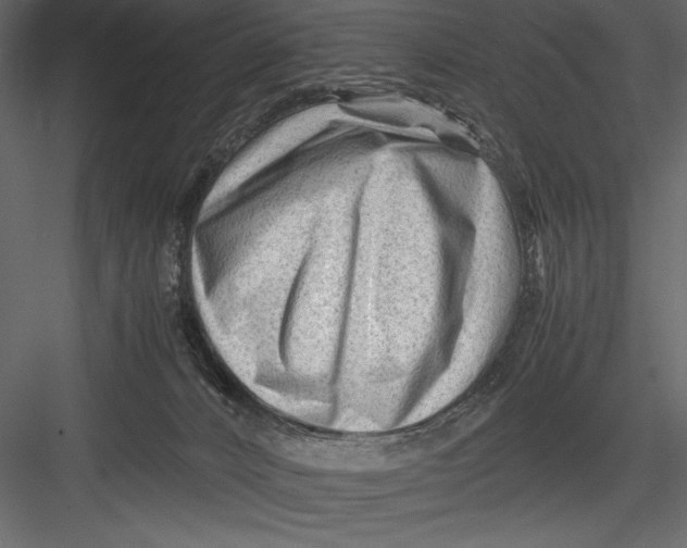 X0000082950032200702222325