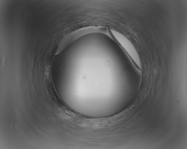 X0000082950033200702222325