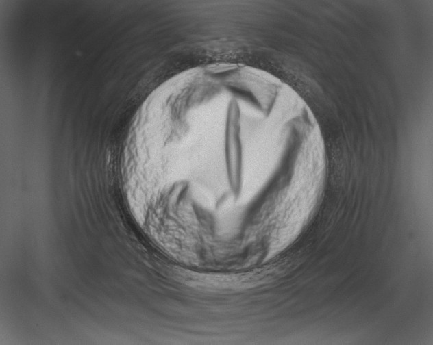 X0000082950034200702222325