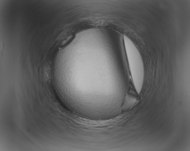 X0000082950035200702222325