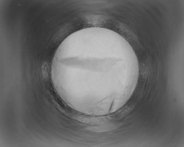 X0000082950036200702222325