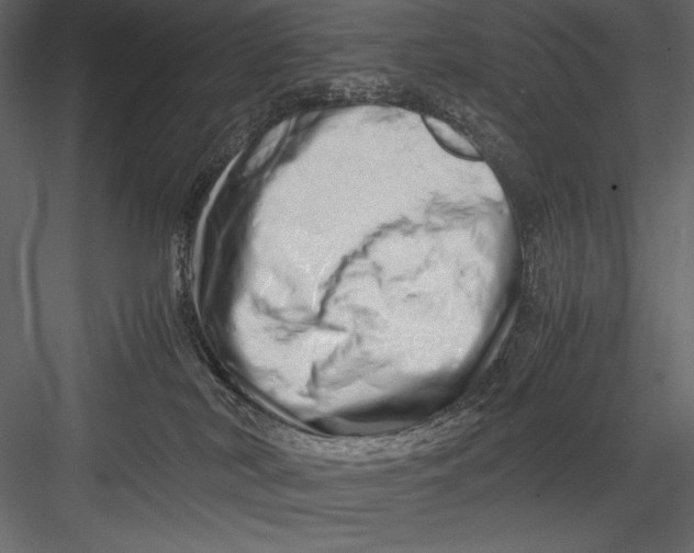 X0000082950038200702222325