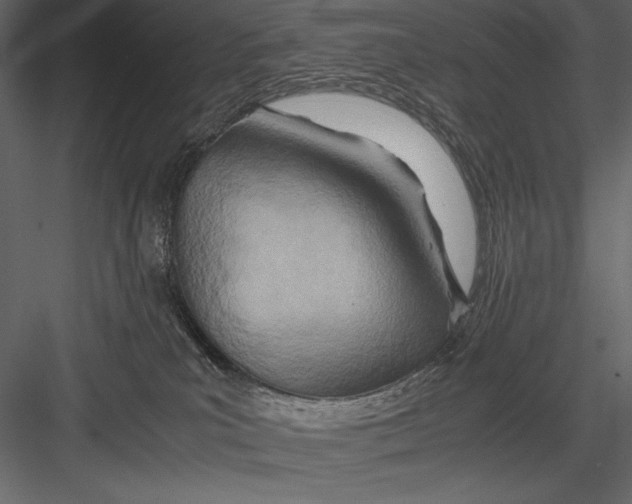 X0000082950039200702222325