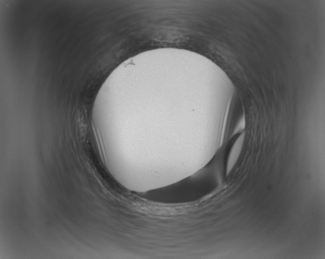 X0000082950040200702222325