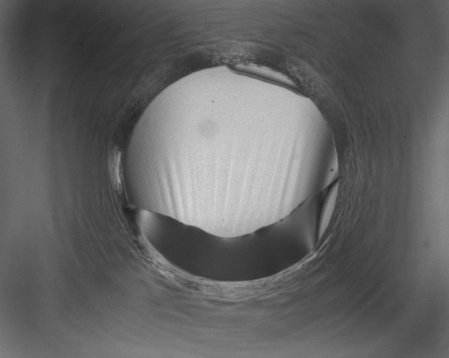 X0000082950041200702222325