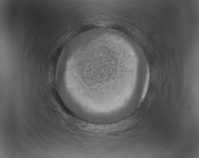 X0000082950043200702222325