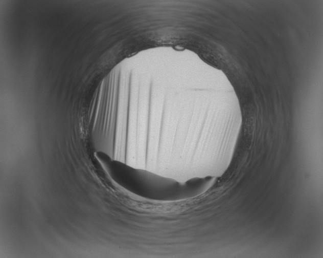 X0000082950044200702222325