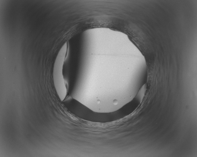 X0000082950045200702222325