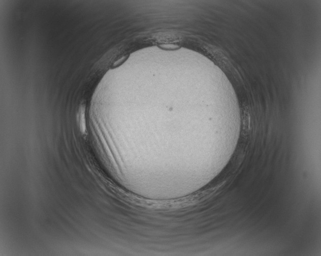 X0000082950046200702222325