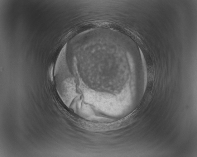 X0000082950047200702222325