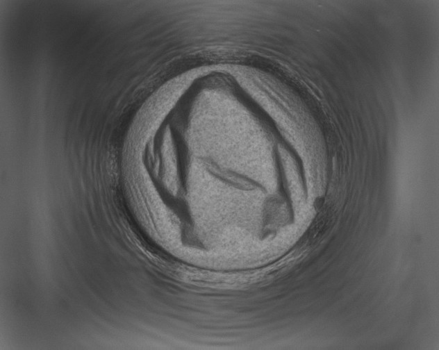 X0000082950048200702222325