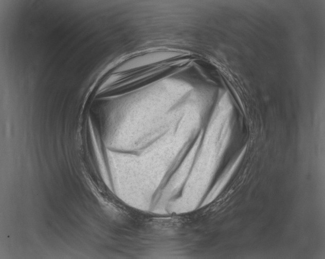 X0000082950050200702222324