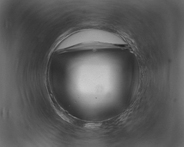 X0000082950051200702222324