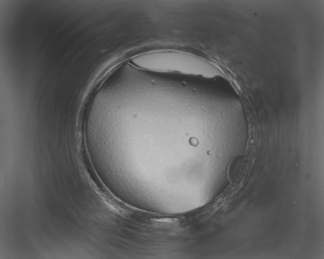 X0000082950053200702222324