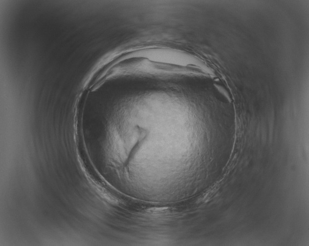 X0000082950054200702222324