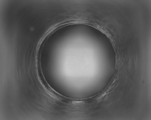 X0000082950055200702222324