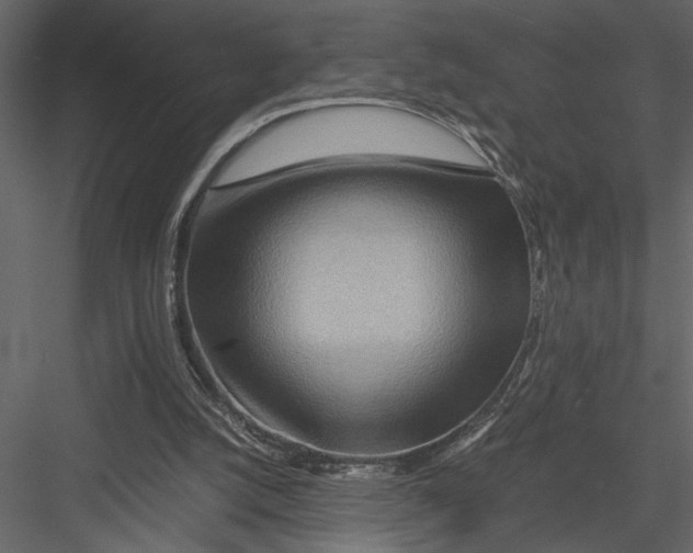 X0000082950056200702222324